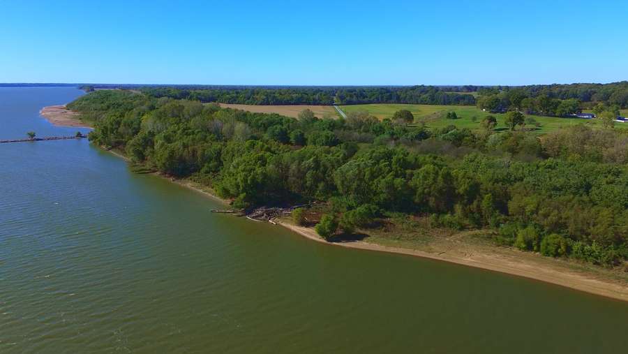 Still 2025-11-17 100017_1.80.11.jpeg